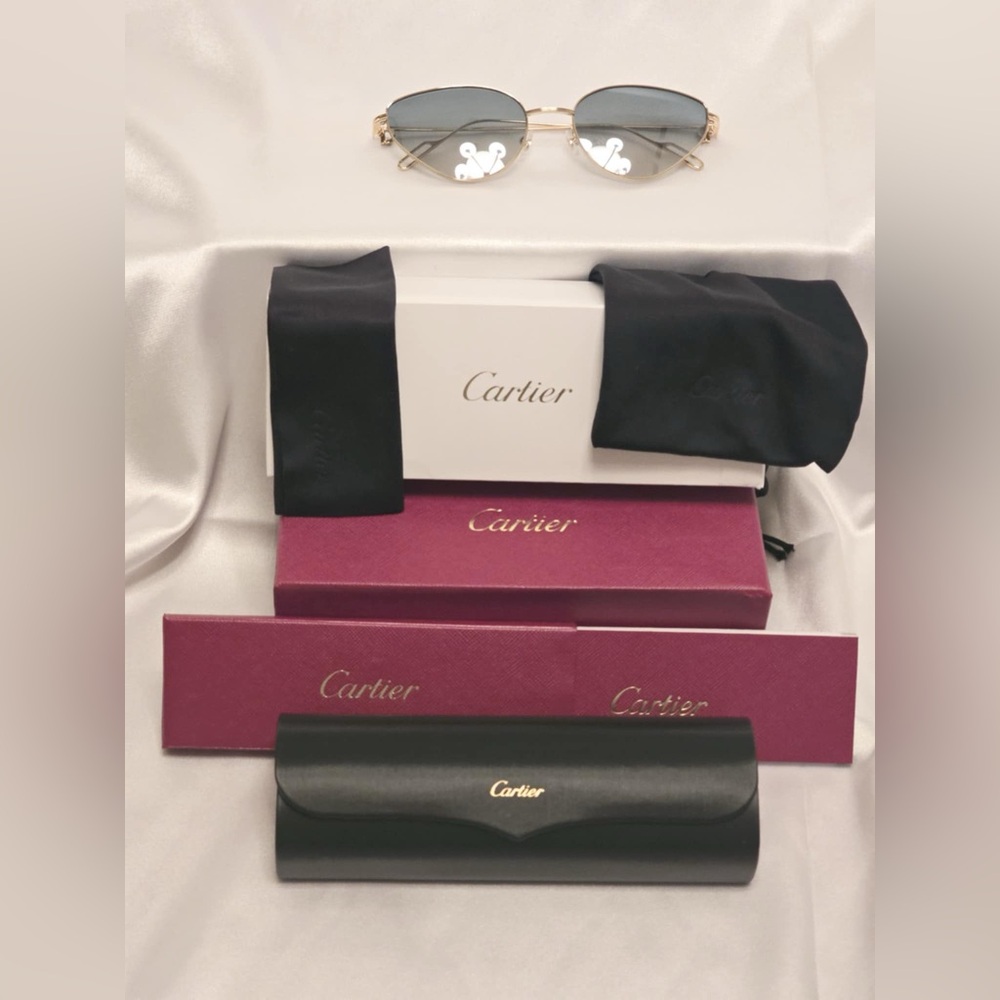 New Cat Eye Cartier Glasses, CT0155S 005